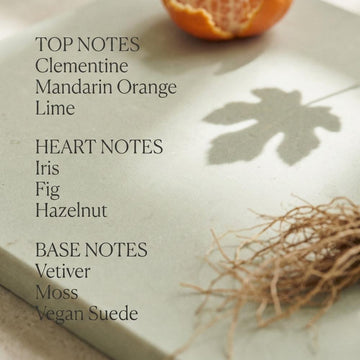 Clementine & Vetiver Eau De Parfum 50 ml for Women & Men | Citrus, Earthy & Sweet