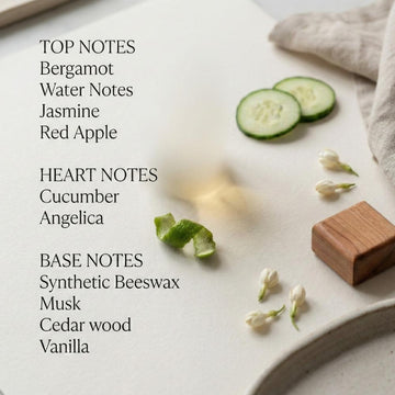 Mayfair Eau De Parfum 50 ml for Women & Men | Earl Grey, Cucumber & Aquatic