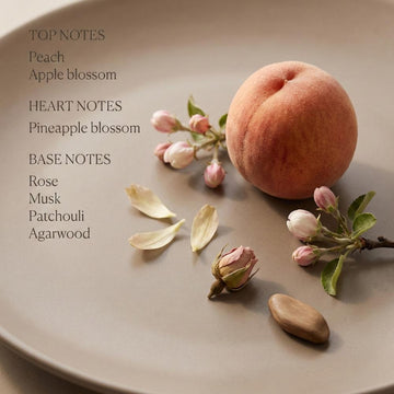 Oud Velvet Hour Eau De Parfum 50 ml for Women & Men | Sweet, Warm Spicy & Musky